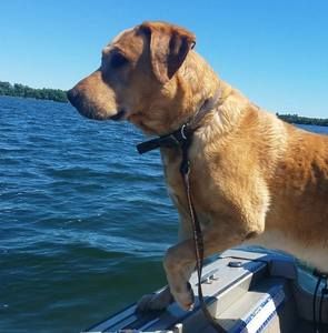 Meet your Posher, Jedediah